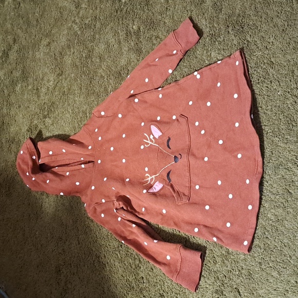 Toddler Girls Lot Of 9 Long Sleeve Dresses 2t. - Picture 3 of 17